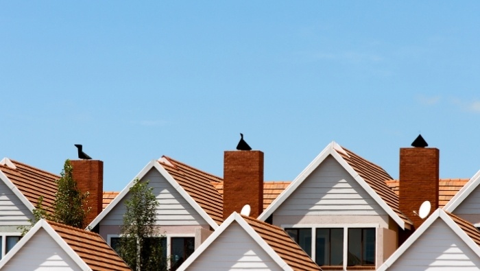 Cohousing Affordable Living Arrangement photo photo