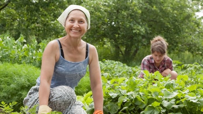 Creating a Labor-Saving Garden