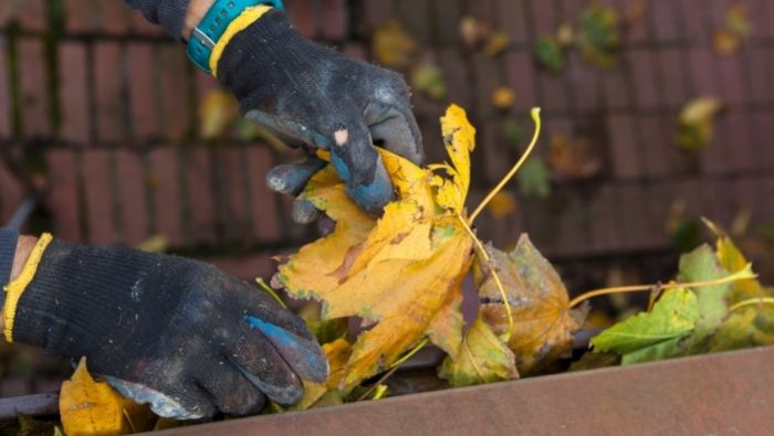 Essential Fall Home Repairs photo