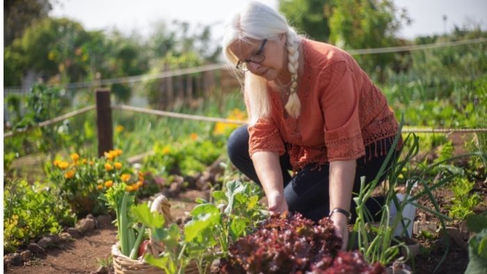 Should You Consider Starting a Vegetable Garden?