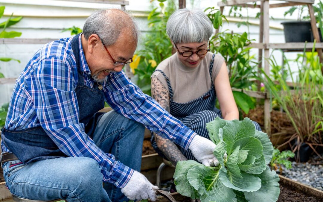 5 Reasons To Garden in Your Golden Years