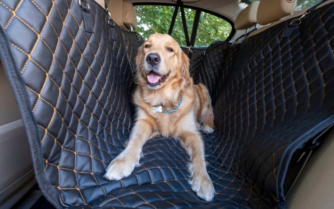 Top 3 Pet Travel Hacks To Save You Money This Summer